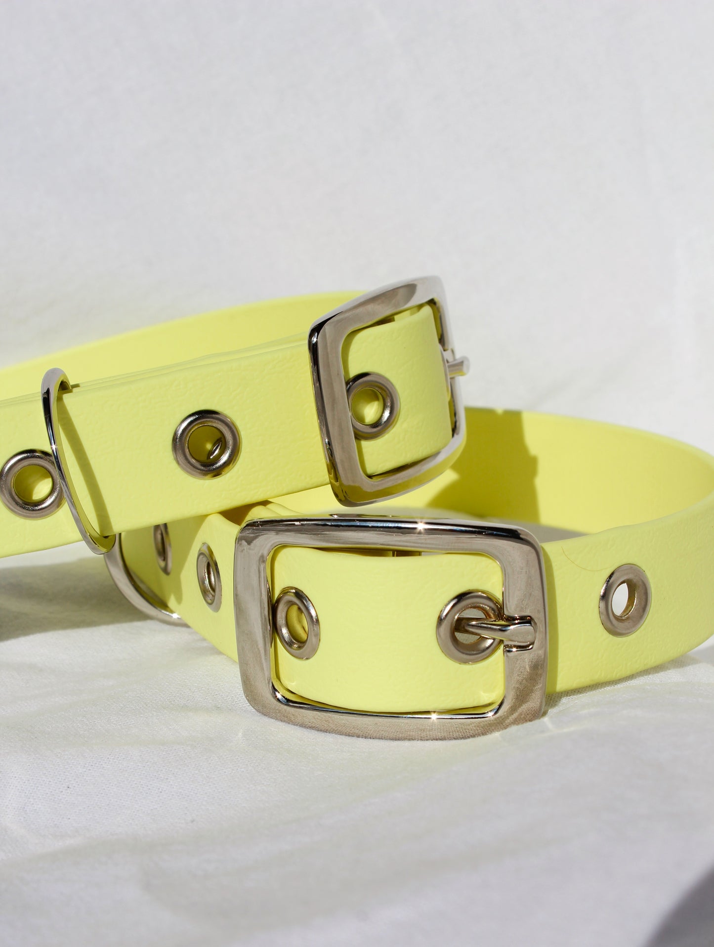 Collar soleado