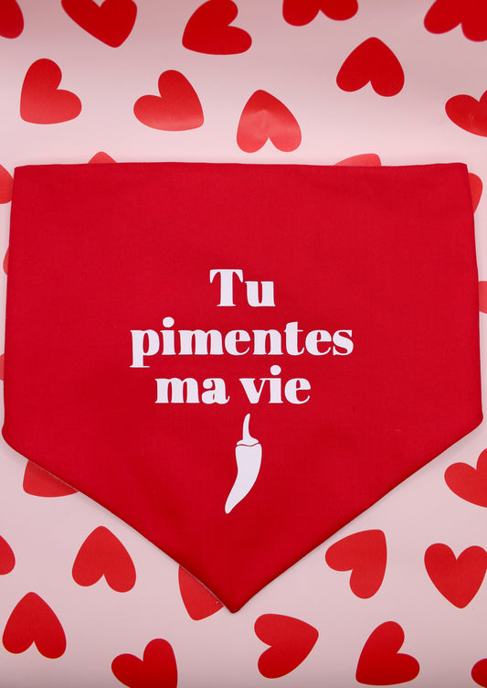 Bandana Rouge - Collection Saint Valentin 💌